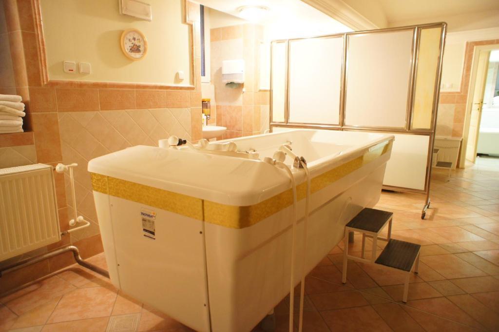 קרלובי וארי Hotel Mignon חדר תמונה